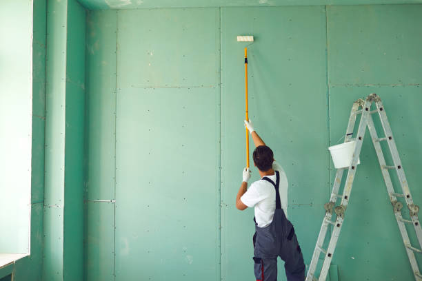 Best Mold Damage Restoration  in Camp Swift, TX