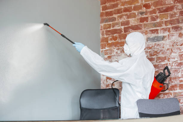 Best Mold-Related Health Consultation  in Camp Swift, TX