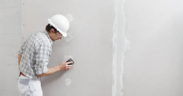 Best Black Mold Removal  in Camp Swift, TX