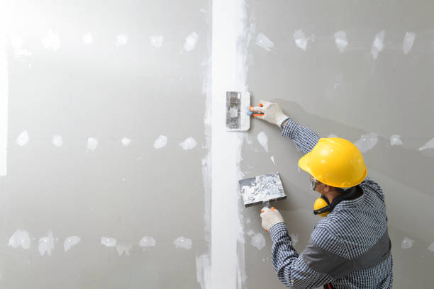Best Mold Prevention Services  in Camp Swift, TX